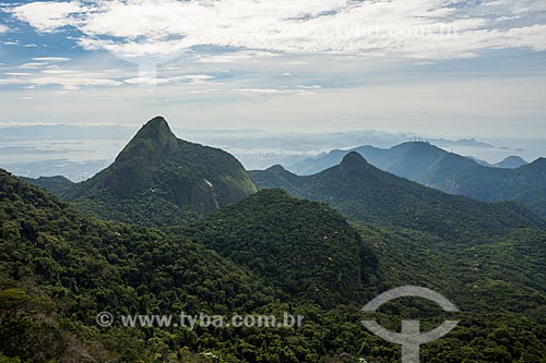  View of the Tijuca Peak during the Bico do Papagaio Mountain trail - Tijuca National Park  - Rio de Janeiro city - Rio de Janeiro state (RJ) - Brazil