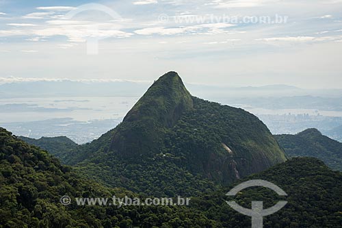  View of the Tijuca Peak during the Bico do Papagaio Mountain trail - Tijuca National Park  - Rio de Janeiro city - Rio de Janeiro state (RJ) - Brazil