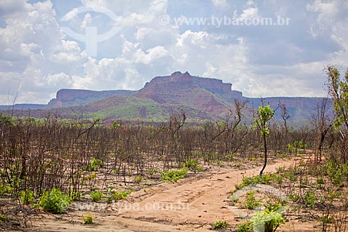  View of the Mangabeiras Mountain Range during trail - Nascentes do Rio Parnaiba National Park  - Barreiras do Piaui city - Piaui state (PI) - Brazil