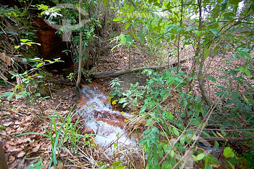  Source of the Salto River - Nascentes do Rio Parnaiba National Park (Parnaiba River Headwaters National Park)  - Barreiras do Piaui city - Piaui state (PI) - Brazil