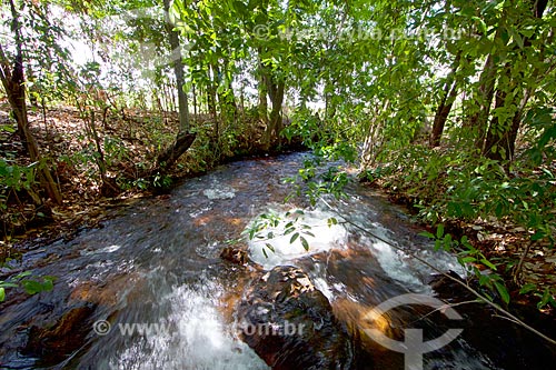  Snippet of the Agua Quente River (Hot Water River) - Nascentes do Rio Parnaiba National Park (Parnaiba River Headwaters National Park)  - Barreiras do Piaui city - Piaui state (PI) - Brazil