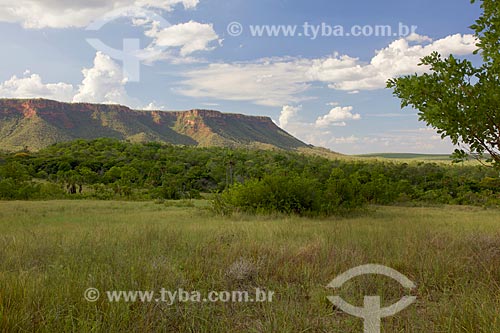  View of the Mangabeiras Mountain Range - Nascentes do Rio Parnaiba National Park  - Barreiras do Piaui city - Piaui state (PI) - Brazil