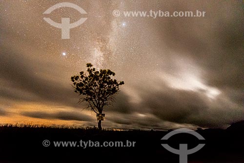  Typical vegetation of cerrado - Veadeiros Plateau at night  - Alto Paraiso de Goias city - Goias state (GO) - Brazil