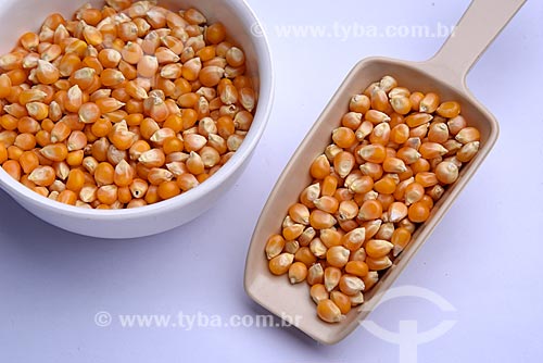  Detail of grains of corn for popcorn (Zea mays everta)  - Brazil