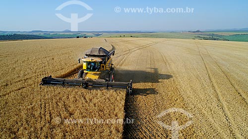  Aerial photo of the wheat mechanized harvesting  - Arapoti city - Parana state (PR) - Brazil