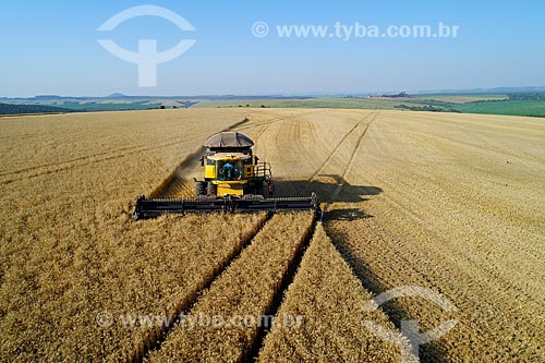  Aerial photo of the wheat mechanized harvesting  - Arapoti city - Parana state (PR) - Brazil