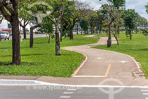  Bike lane - Brasilia city center  - Brasilia city - Distrito Federal (Federal District) (DF) - Brazil