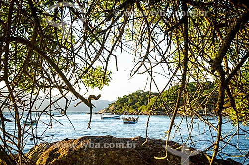  Fishing boats - Ponta do Sambaqui Beach  - Florianopolis city - Santa Catarina state (SC) - Brazil