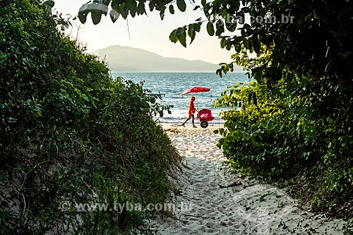  Trail to Daniela Beach waterfront  - Florianopolis city - Santa Catarina state (SC) - Brazil