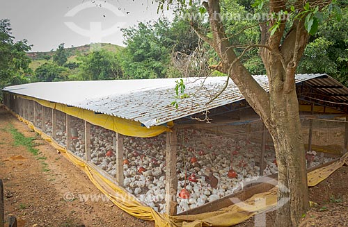  Chicken farm - farm - Guarani city rural zone  - Guarani city - Minas Gerais state (MG) - Brazil