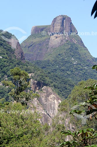  View of the Rock of Gavea from Tijuca National Park  - Rio de Janeiro city - Rio de Janeiro state (RJ) - Brazil