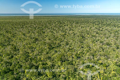  Aerial photo of the Superagui Island - Superagui National Park  - Guaraquecaba city - Parana state (PR) - Brazil