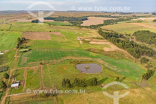  Aerial photo of plantation - Witmarsum Colony  - Palmeira city - Parana state (PR) - Brazil