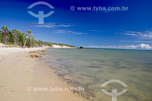  View of Barrinha Beach waterfront  - Cajueiro da Praia city - Piaui state (PI) - Brazil