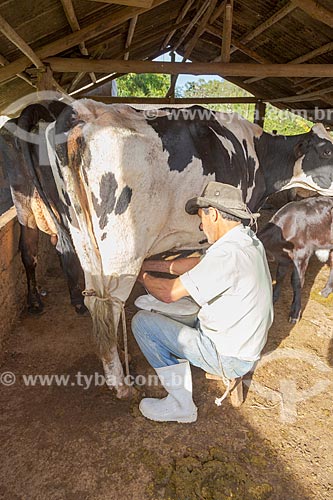 Rural worker milking cow - Guarani city rural zone  - Guarani city - Minas Gerais state (MG) - Brazil