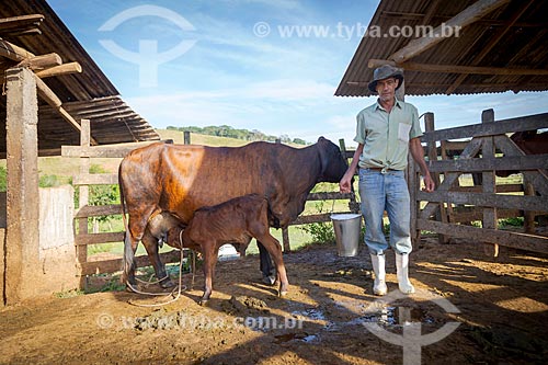  Rural worker - corral - Guarani city rural zone  - Guarani city - Minas Gerais state (MG) - Brazil