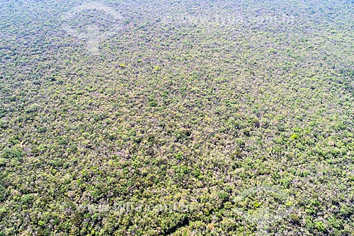  Picture taken with drone of the Araripe-Apodi National Forest - Araripe Plateau  - Barbalha city - Ceara state (CE) - Brazil