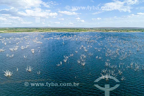  Picture taken with drone of the Itaparica Lagoon  - Floresta city - Pernambuco state (PE) - Brazil