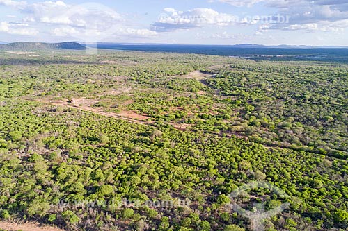  Picture taken with drone of the typical vegetation of caatinga after a little rain  - Sertania city - Pernambuco state (PE) - Brazil