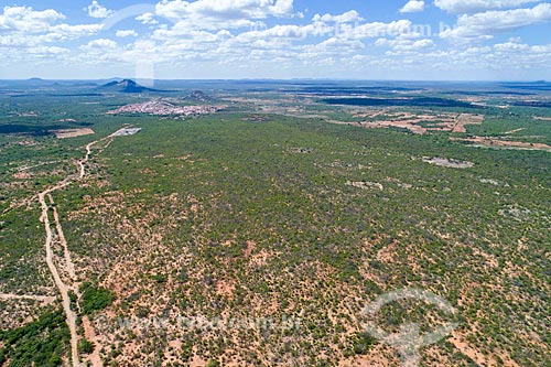  Picture taken with drone of the typical vegetation of caatinga after a little rain  - Floresta city - Pernambuco state (PE) - Brazil