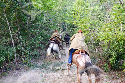  Horsemen during the cultural manifestation known as ox handle in the bush  - Demerval Lobao city - Piaui state (PI) - Brazil