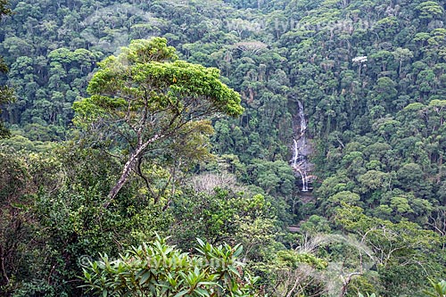  View of the Cascatinha Taunay (Cascade Taunay) from Cascatinha Mirante - Tijuca National Park  - Rio de Janeiro city - Rio de Janeiro state (RJ) - Brazil