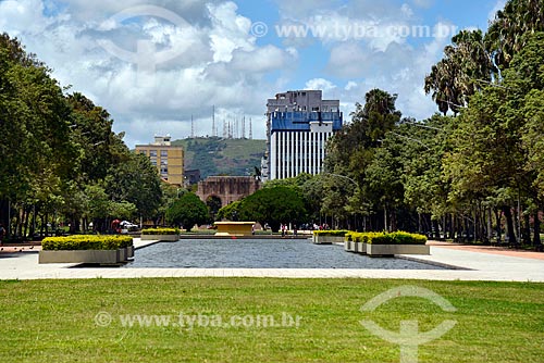  View of the Farroupilha Park - also known as Redencao Park (Redemption Park)  - Porto Alegre city - Rio Grande do Sul state (RS) - Brazil
