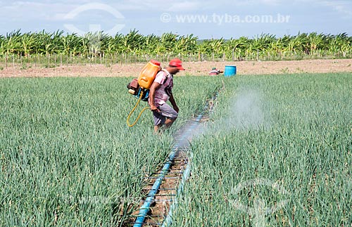  Rural worker without personal protective equipment applying defensives in onion plantation irrigated with water collected from the São Francisco River  - Cabrobo city - Pernambuco state (PE) - Brazil