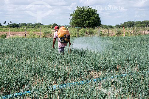  Rural worker without personal protective equipment applying defensives in onion plantation irrigated with water collected from the São Francisco River  - Cabrobo city - Pernambuco state (PE) - Brazil