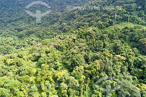  Picture taken with drone of the typical vegetation of Atlantic Rainforest - Sao Sebastiao Center of the Mar Mountains State Park  - Sao Sebastiao city - Sao Paulo state (SP) - Brazil