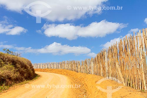  Dirty Road - Guarani city rural zone  - Guarani city - Minas Gerais state (MG) - Brazil