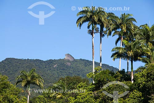  View of the Papagaio Peak (Parrot Peak) from Vila do Abraao  - Angra dos Reis city - Rio de Janeiro state (RJ) - Brazil