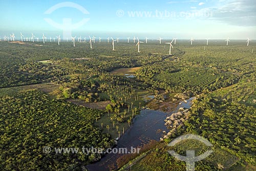  Picture taken with drone of the Trairi Wind Farm  - Trairi city - Ceara state (CE) - Brazil