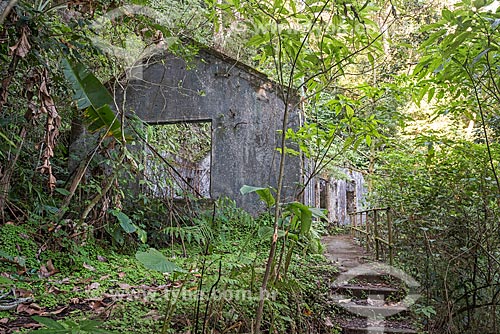  Ruin of old house - Tijuca National Park  - Rio de Janeiro city - Rio de Janeiro state (RJ) - Brazil