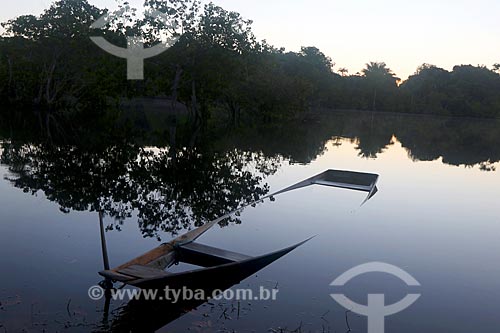  Canoe almost covered up in Negro River - Anavilhanas National Park  - Novo Airao city - Amazonas state (AM) - Brazil