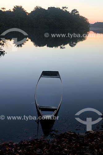  Canoe almost covered up in Negro River - Anavilhanas National Park  - Novo Airao city - Amazonas state (AM) - Brazil