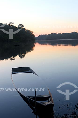  Canoe almost covered up in Negro River - Anavilhanas National Park  - Novo Airao city - Amazonas state (AM) - Brazil