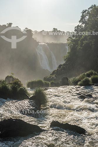  View of the Iguassu Waterfalls - Iguassu National Park  - Foz do Iguacu city - Parana state (PR) - Brazil