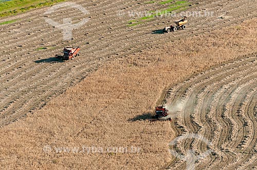  Aerial view of rice crop  - Rio Grande city - Rio Grande do Sul state (RS) - Brazil