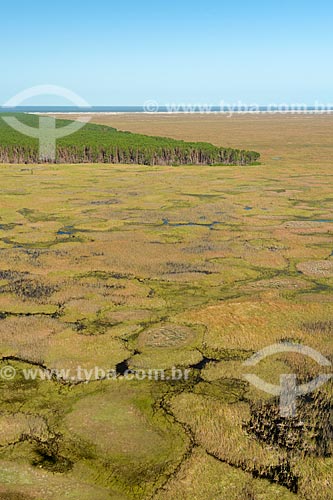  Aerial view of rural area and eucalyptus plantation  - Rio Grande city - Rio Grande do Sul state (RS) - Brazil