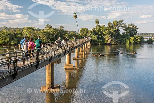  View of Footbridge over of Iguassu River - Iguassu National Park  - Puerto Iguazu city - Misiones province - Argentina