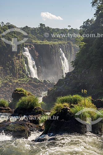  View of the Iguassu Waterfalls - Iguassu National Park  - Foz do Iguacu city - Parana state (PR) - Brazil