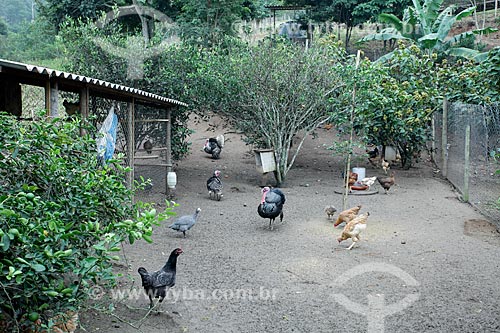  Animals - Triunfo Farm  - Marica city - Rio de Janeiro state (RJ) - Brazil