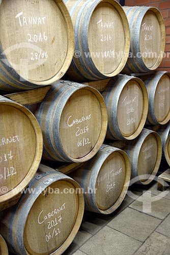  Oak barrel for wine fermentation at Torcello Winery  - Bento Goncalves city - Rio Grande do Sul state (RS) - Brazil