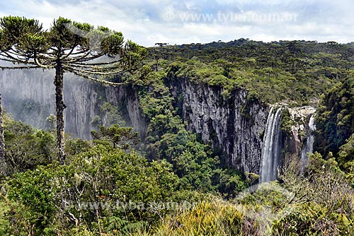  View of the Andorinhas Waterfall - Itaimbezinho Canyon - Aparados da Serra National Park  during the vertice trail  - Cambara do Sul city - Rio Grande do Sul state (RS) - Brazil