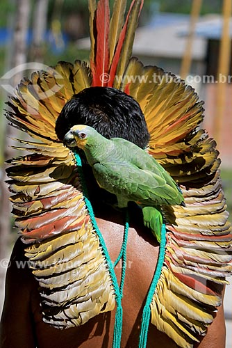  Detail of Cacique Jose Pancracio da Silva from the Bare tribe with parrot (Amazona aestiva) - Boa Esperanca Community - Puranga Conquista Sustainable Development Reserve  - Manaus city - Amazonas state (AM) - Brazil