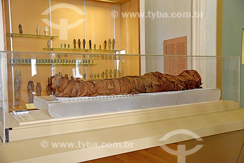  Mummy on exhibit - National Museum - old Sao Cristovao Palace  - Rio de Janeiro city - Rio de Janeiro state (RJ) - Brazil