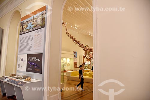  Replica of titanosaur fossil on exhibit - National Museum - old Sao Cristovao Palace  - Rio de Janeiro city - Rio de Janeiro state (RJ) - Brazil