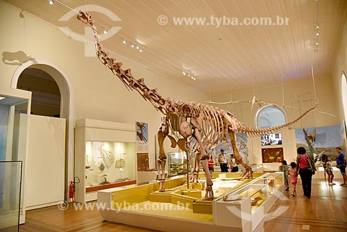  Replica of titanosaur fossil on exhibit - National Museum - old Sao Cristovao Palace  - Rio de Janeiro city - Rio de Janeiro state (RJ) - Brazil