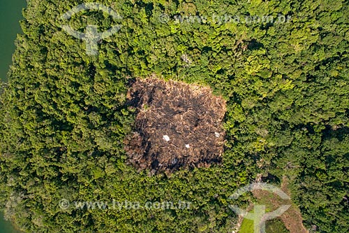  Aerial photo of the burned near to Tapajos River - Tapajos National Forest  - Santarem city - Para state (PA) - Brazil